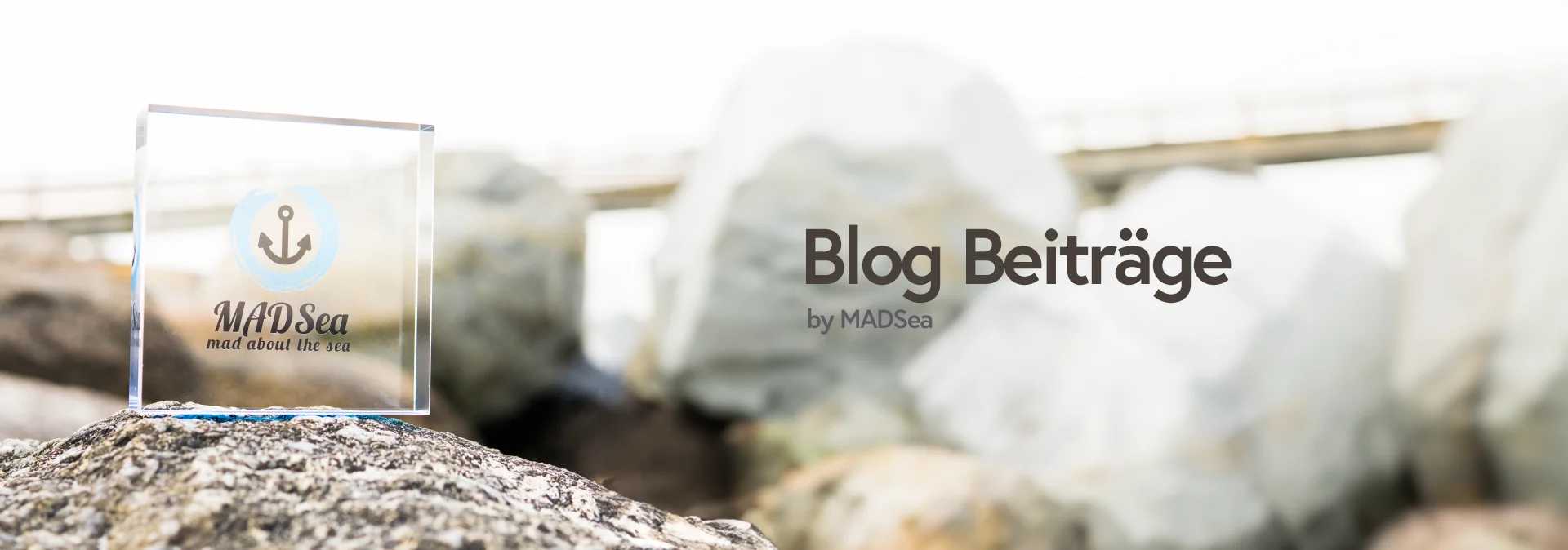 Blog Beiträge Header